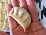 白菜猪肉虾仁水饺的做法[图]