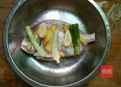 清蒸棘鲷鱼的做法图解4