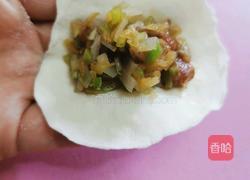 西葫芦猪肉粉条饺子的做法图解17