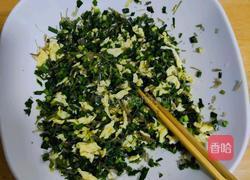 韭菜鸡蛋水饺的做法图解4