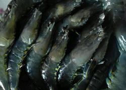 清蒸草虾