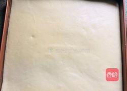 蔓越莓虎纹蛋糕卷的做法图解10