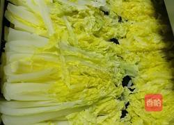 蒜蓉粉丝娃娃菜的做法图解1