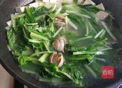 小白菜蚶子豆腐汤的做法图解13