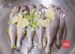 香煎小黄鱼的做法图解3