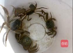 清蒸螃蟹的做法图解2