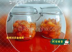 金桔膏（枇杷川贝金桔膏