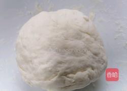 鲜肉饼的做法图解1