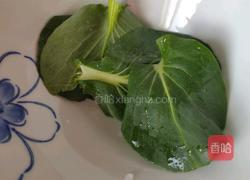 炒肉末便当的做法图解7