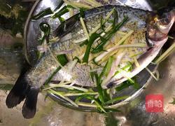 豆豉蒸武昌鱼的做法图解2