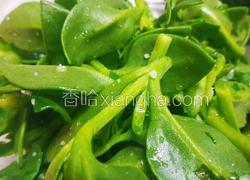 减肥轻食经典菜柠檬蜂蜜穿心莲