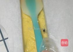 蔓越莓饼干的做法图解11
