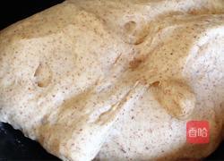 黑麦酒渍果干软欧的做法图解10