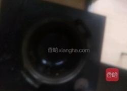 西葫芦炒鸡蛋的做法图解8