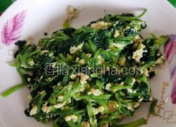 鸡蛋炒菠菜