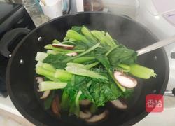 香菇炒油菜的做法图解4