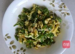 辣椒炒鸡蛋的做法图解6