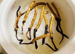 低调奢华有内涵虫草炖燕窝