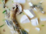 昂刺鱼豆腐汤