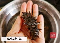 清炖海参的做法图解3