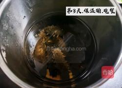 清炖海参的做法图解5