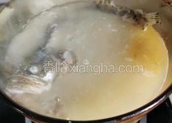 风鹅鳜鱼汤