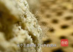 榨豆浆剩下来的豆渣做成霉豆渣 和五花肉一起炒太香了的做法图解5