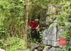 电饭煲焖鸡做法 不加一滴油也很好吃（内附万能香辣料汁做法）的做法图解1