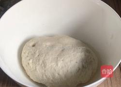 红萝卜牛肉锅贴的做法图解3