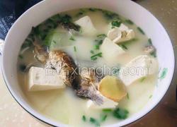 鲫鱼冬瓜豆腐汤