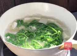 豆腐枸杞萝卜苗汤的做法图解8