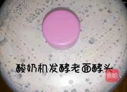 醪糟老面馒头的做法图解2