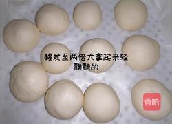 醪糟老面馒头的做法图解12