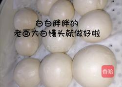 醪糟老面馒头的做法图解15