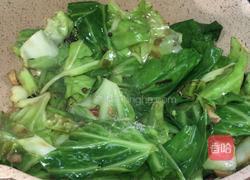 手撕包菜的做法图解7