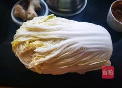 简化版乾隆白菜的做法图解1