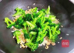干贝虾米炒西兰花的做法图解8
