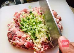 苤蓝大肉水饺的做法图解5