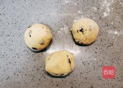 南瓜黑加仑开花馒头的做法图解14