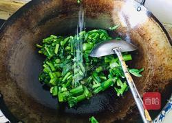 蒜蓉菜心的做法图解7
