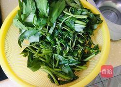 蒜香空心菜的做法图解1