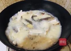 鲫鱼豆腐汤的做法图解5