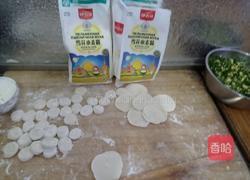 雪花小麦粉素饺子的做法图解8