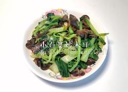 小白菜炒木耳