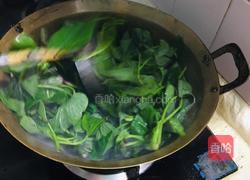 蒜香红薯叶的做法图解3