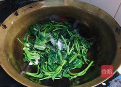 蒜香红薯叶的做法图解4