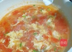 西红柿鸡蛋汤的做法图解8