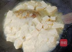 豆腐鲫鱼汤的做法图解8