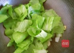 海鲜菇炒小白菜的做法图解10