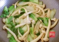 海鲜菇炒小白菜的做法图解12